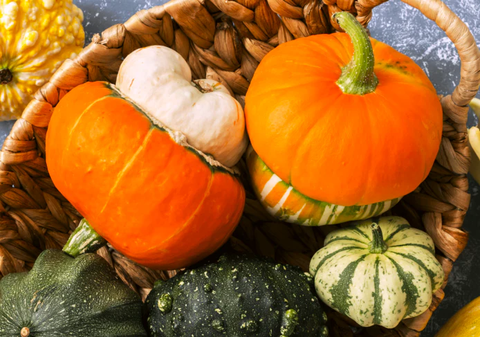 Mini Red Turk's Turban Ornamental Gourd - Image 6