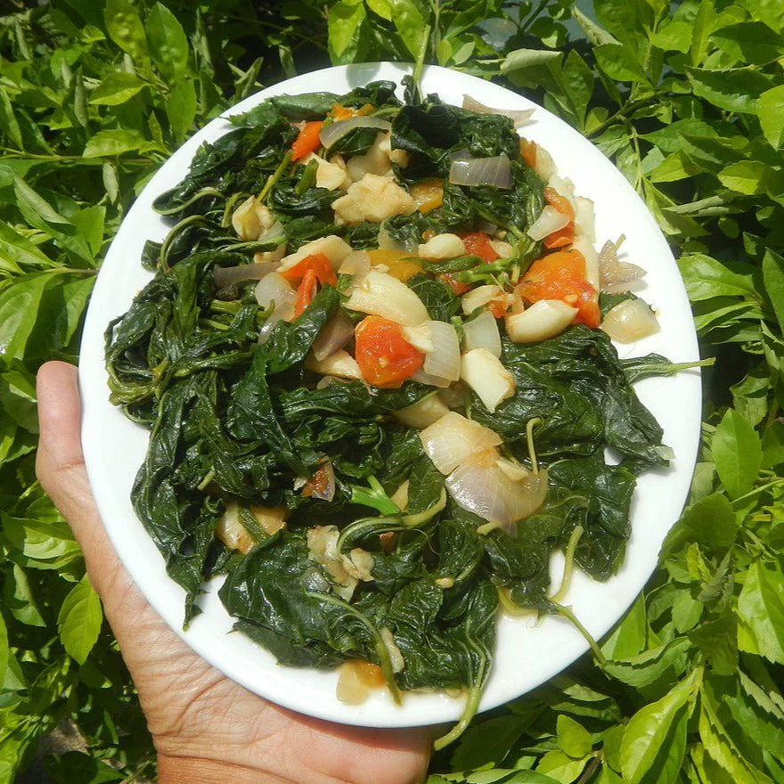 Molokhia (Egyptian Spinach) - Image 12