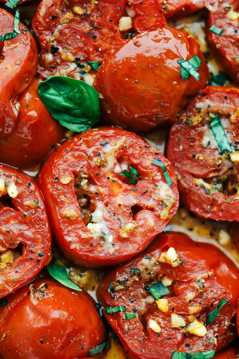 Moneymaker Vine Tomato - Image 5