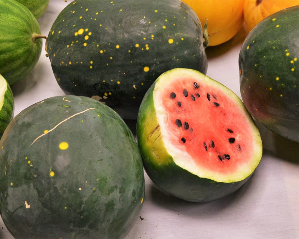 Moon & Stars Red Watermelon - Image 4