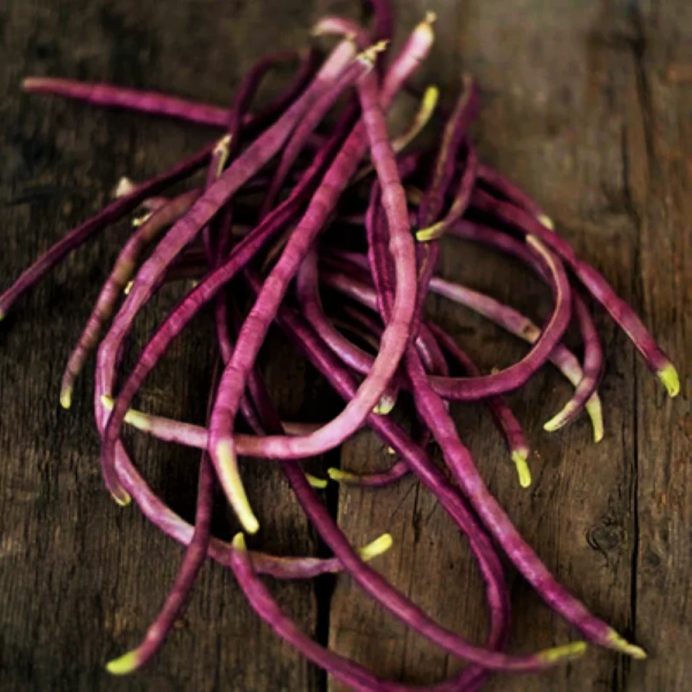 Mosaic Yard Long Bean - Image 5