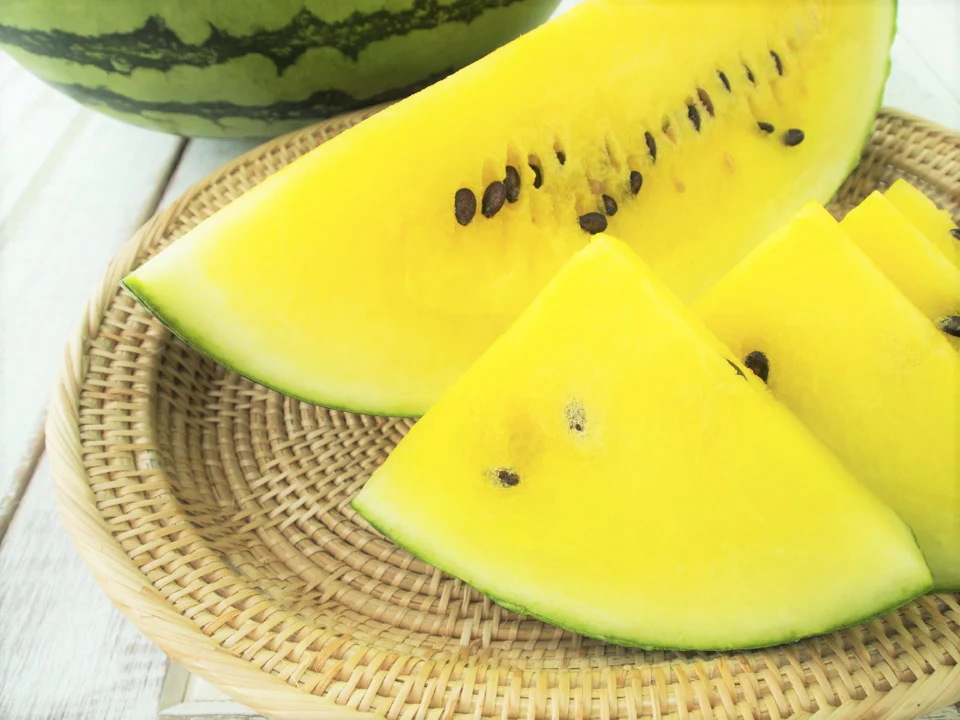 Mountain Sweet Yellow Watermelon - Image 4
