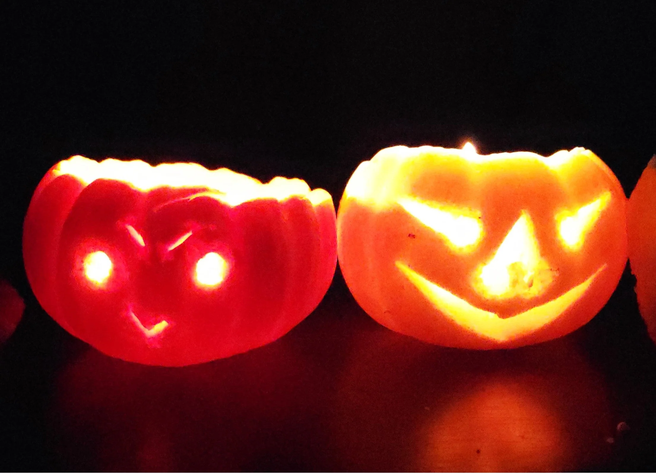 Munchkin Pumpkin - Image 10