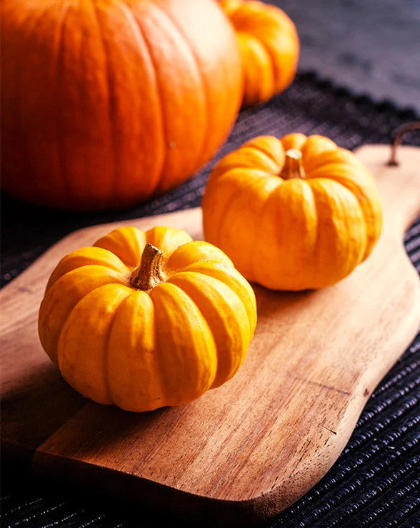 Munchkin Pumpkin - Image 7