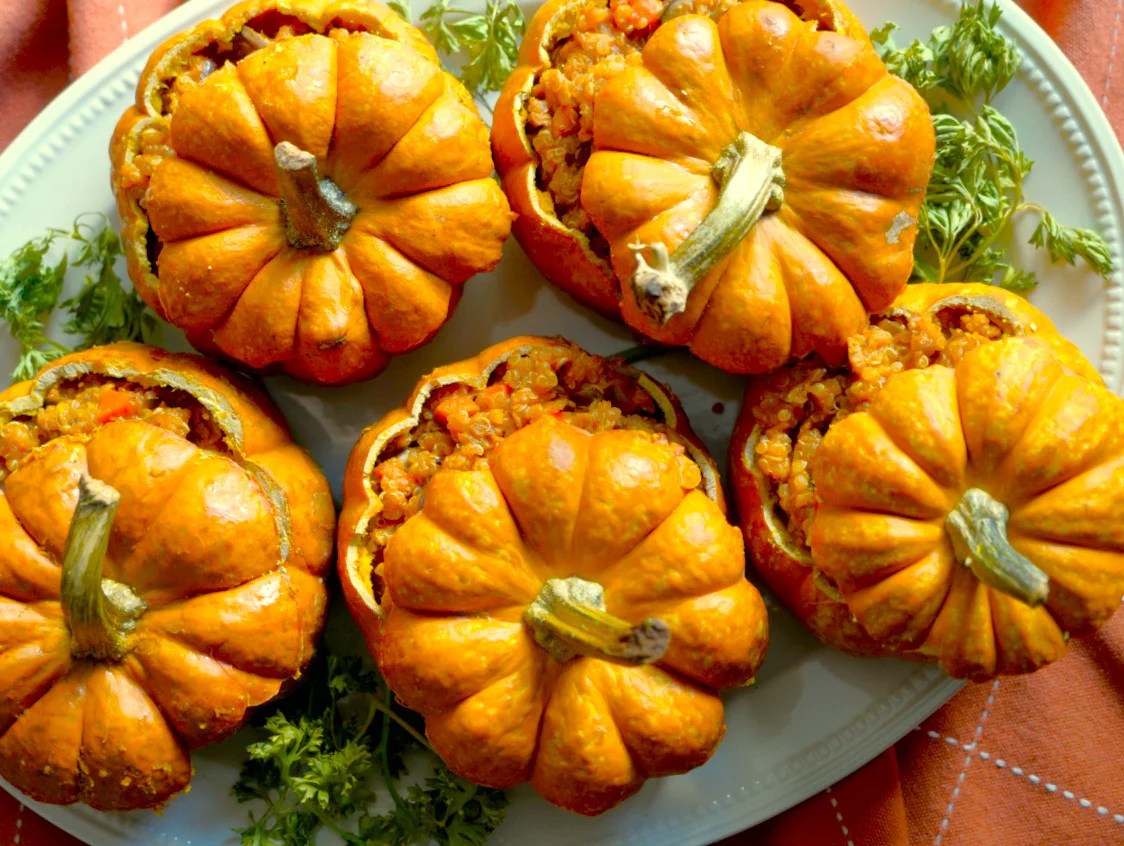 Munchkin Pumpkin - Image 8