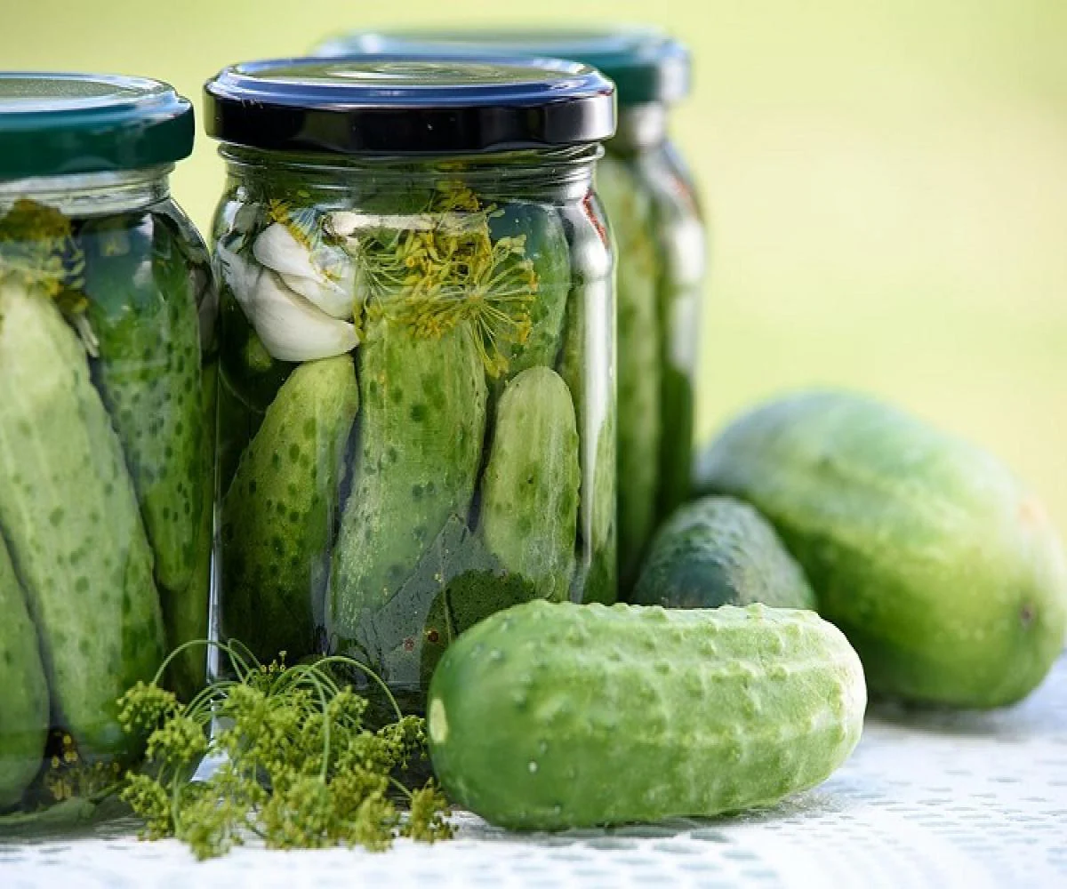 National Pickling Cucumber - Image 4