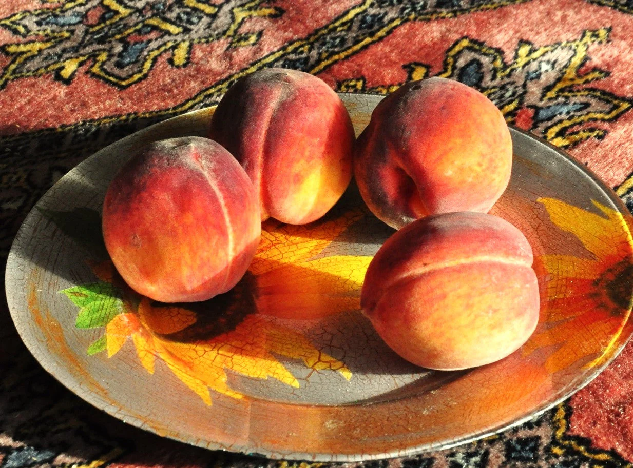Nemaguard Peach Tree - Image 7
