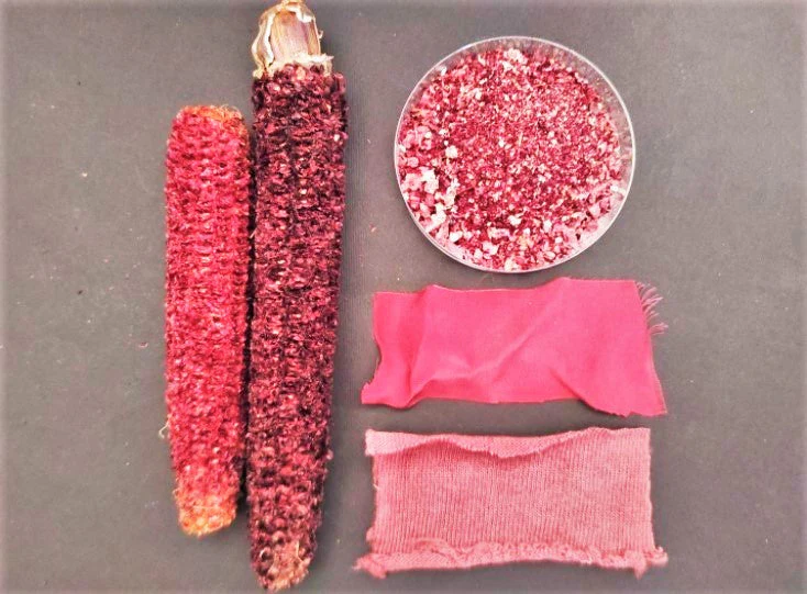Neon Pink Popcorn (Ornamental Corn) - Image 9