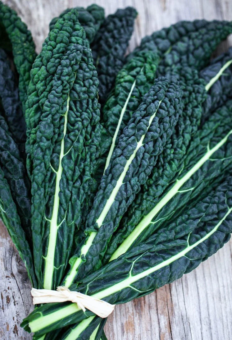 Nero di Toscana Kale (Cavalo Nero) - Image 6