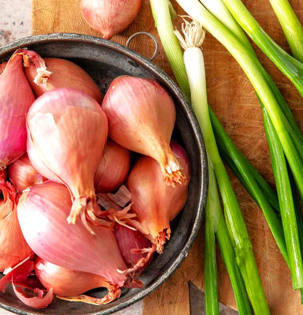 Nero Shallot Sets (Bulbs) - Image 4