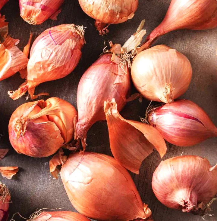 Nero Shallot Sets (Bulbs) - Image 9