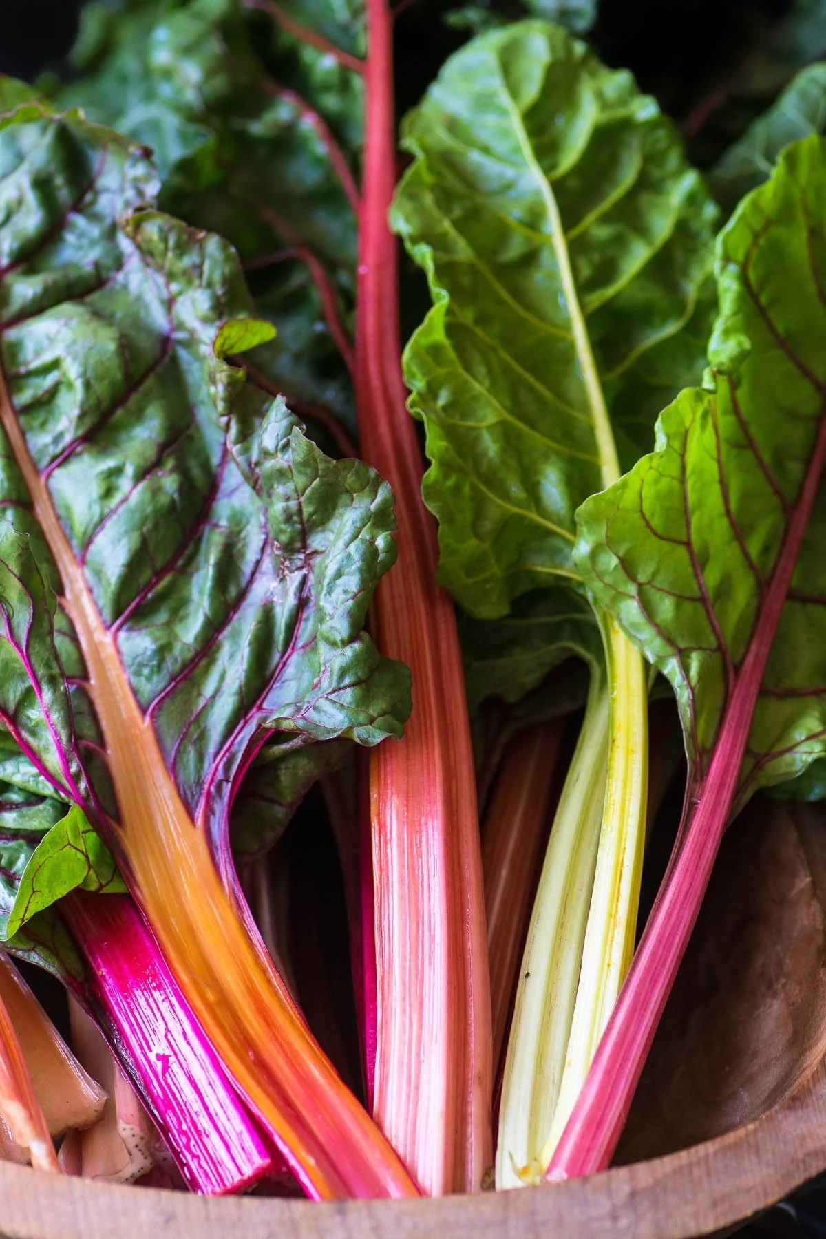 Northern Lights Mix Swiss Chard - Image 5
