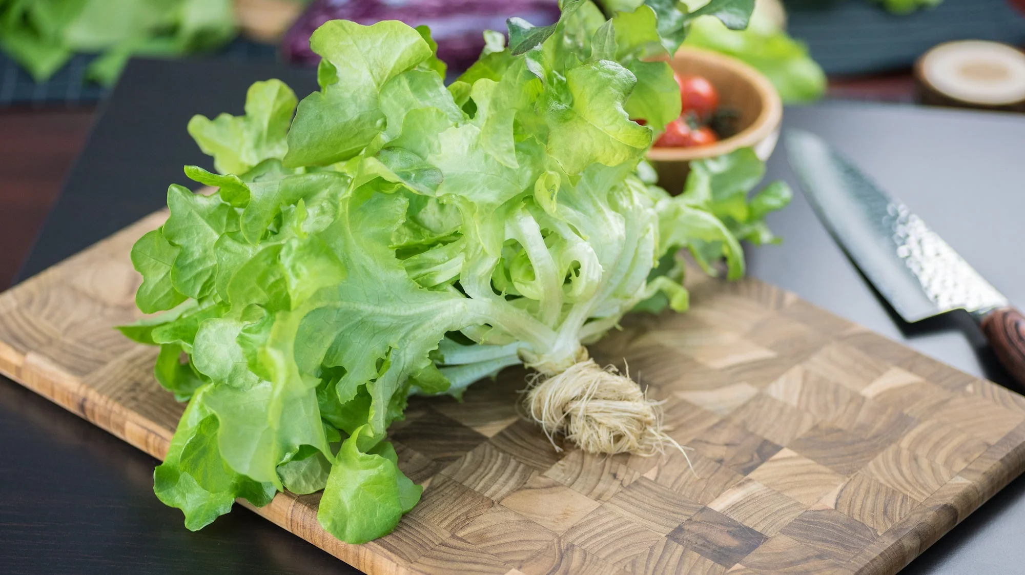 Oakleaf Lettuce - Image 4