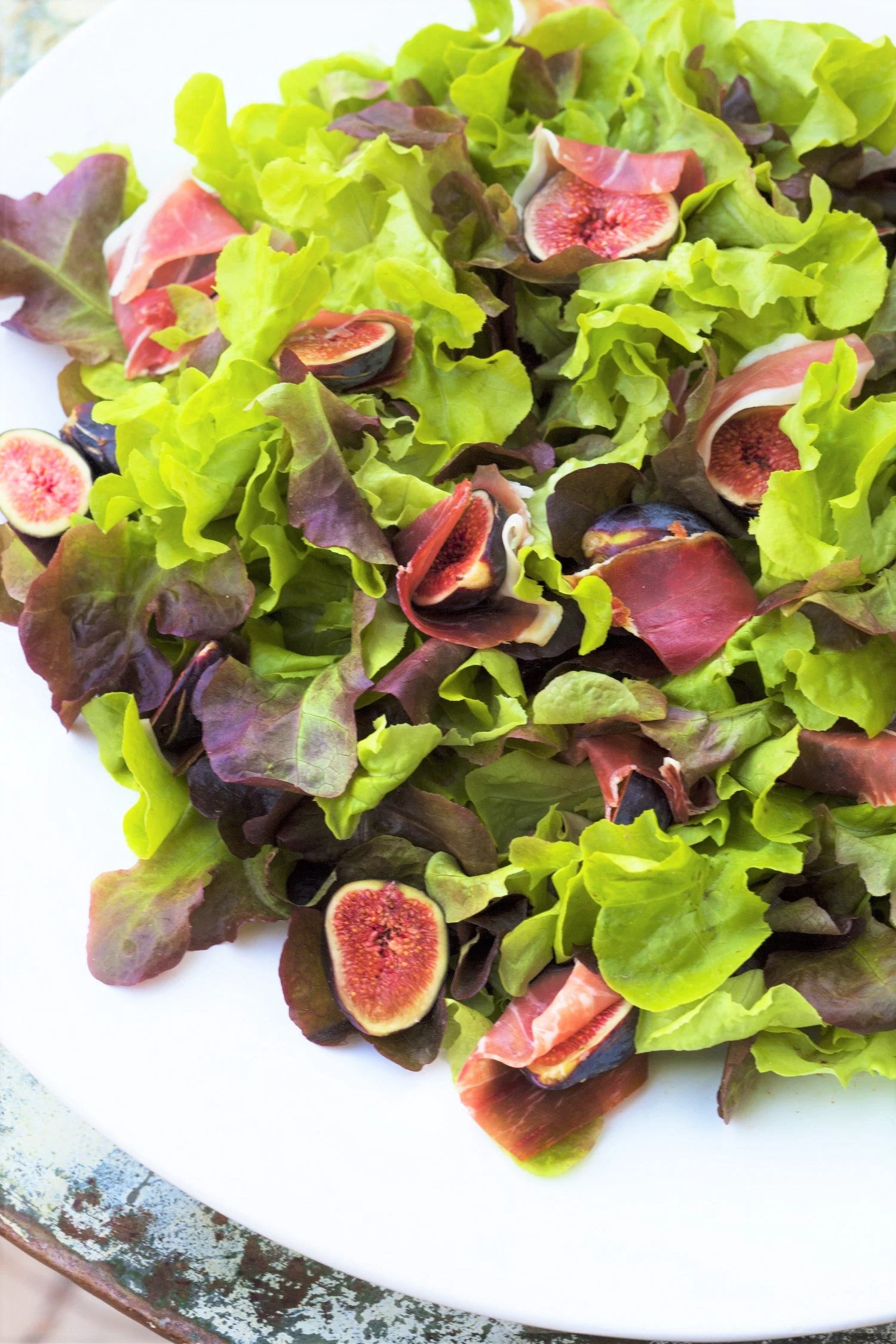 Oakleaf Lettuce - Image 7
