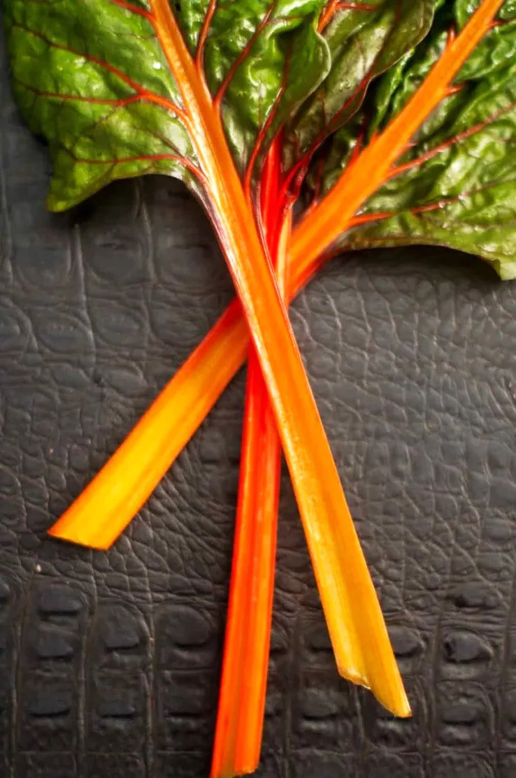 Orange Glory Swiss Chard - Image 3