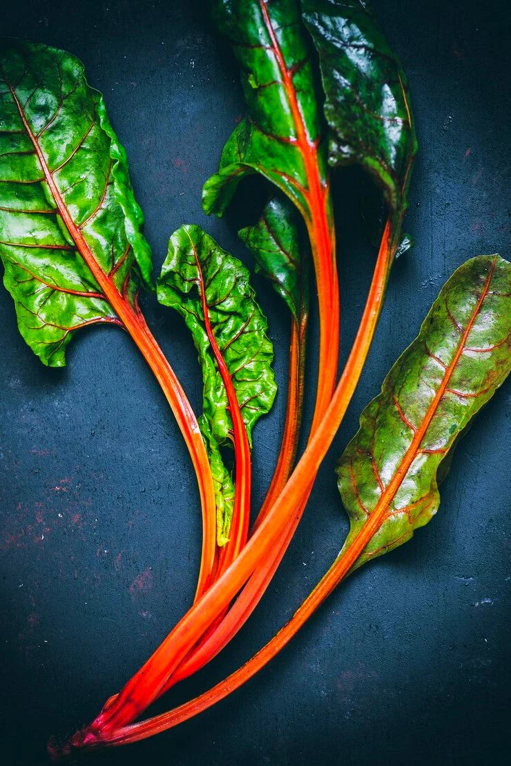 Orange Glory Swiss Chard - Image 4