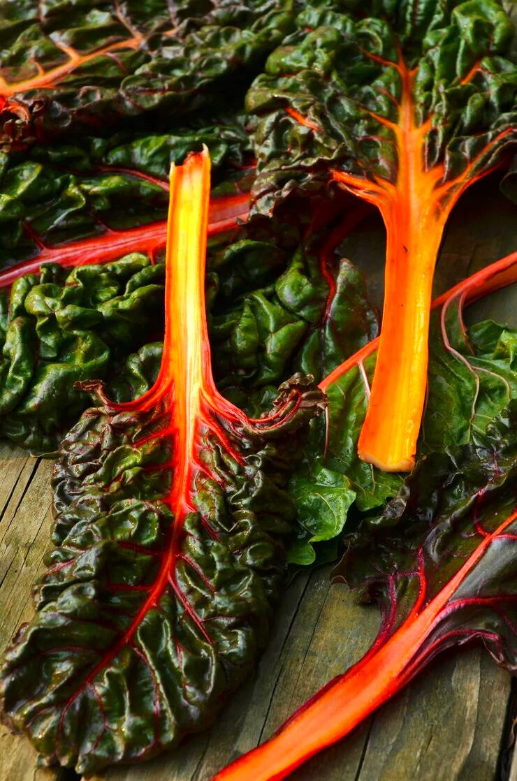 Orange Glory Swiss Chard - Image 5