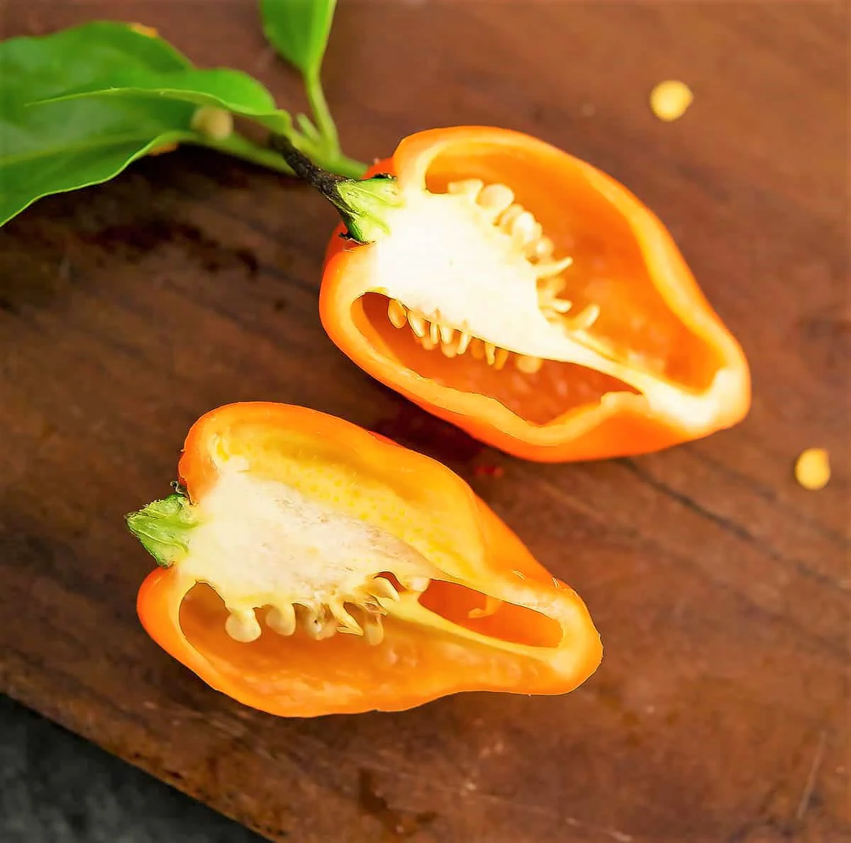 Orange Habanero Pepper - Image 4