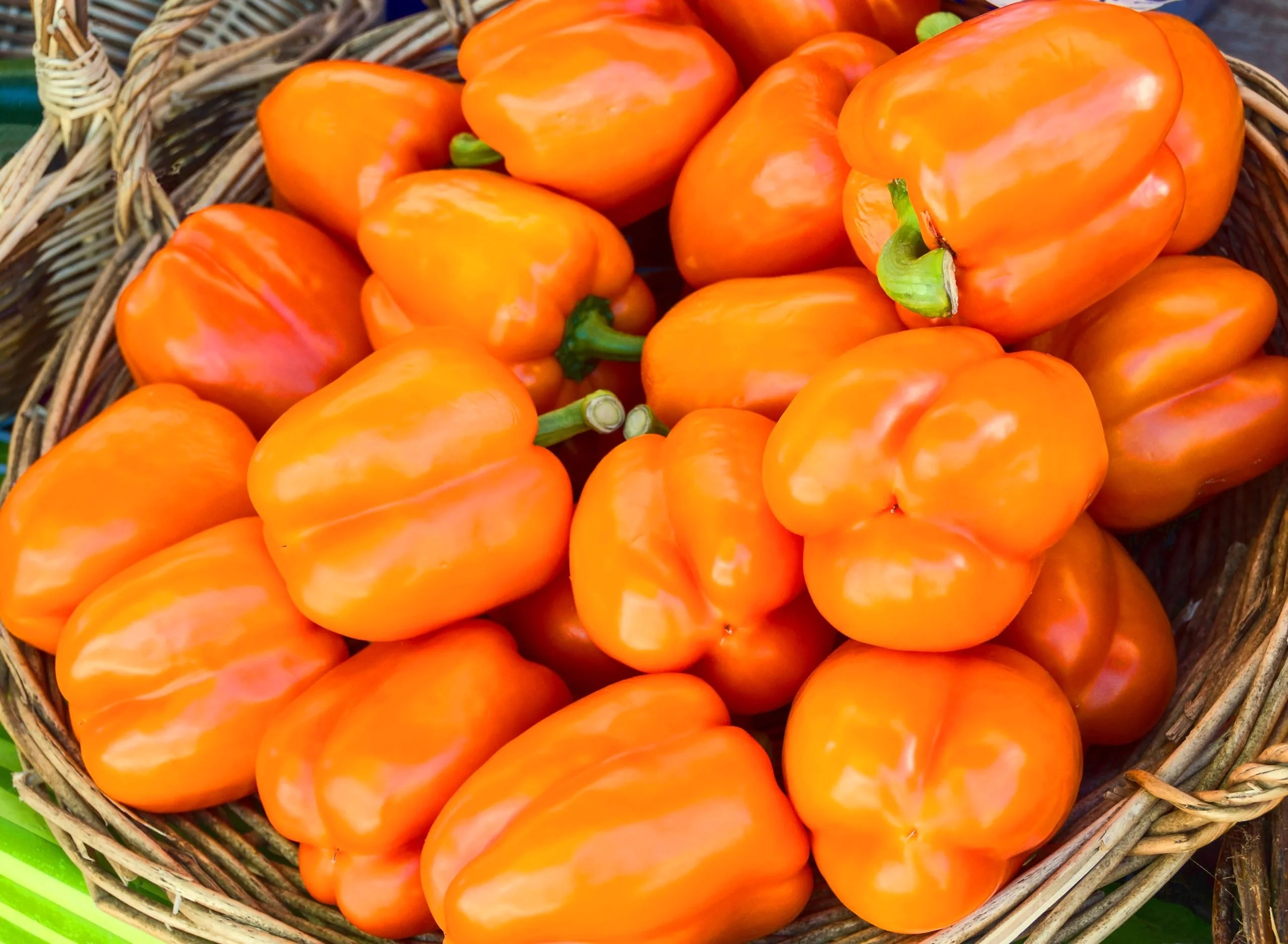 Orange Sun Sweet Bell Pepper - Image 4