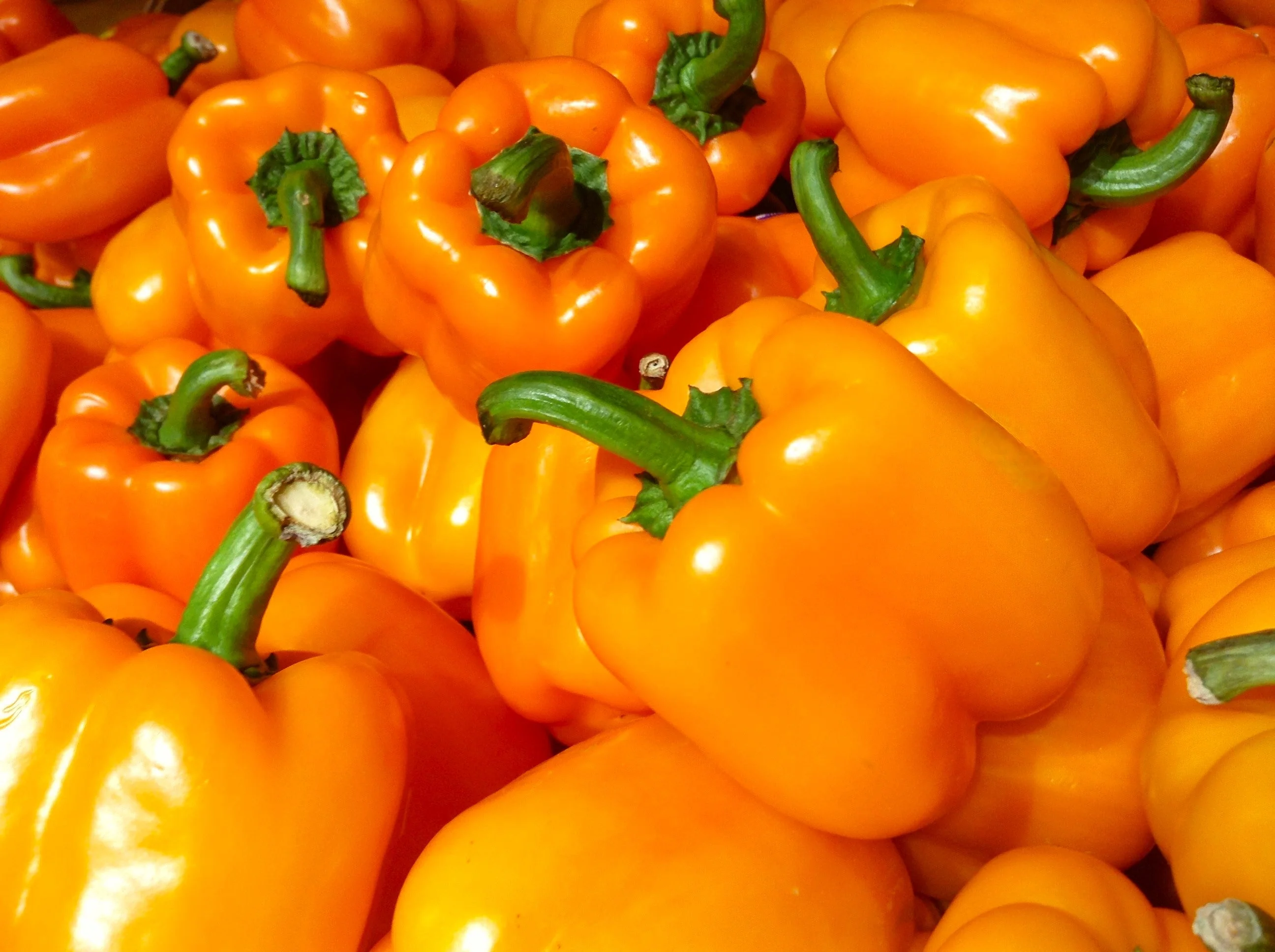 Orange Sun Sweet Bell Pepper - Image 5