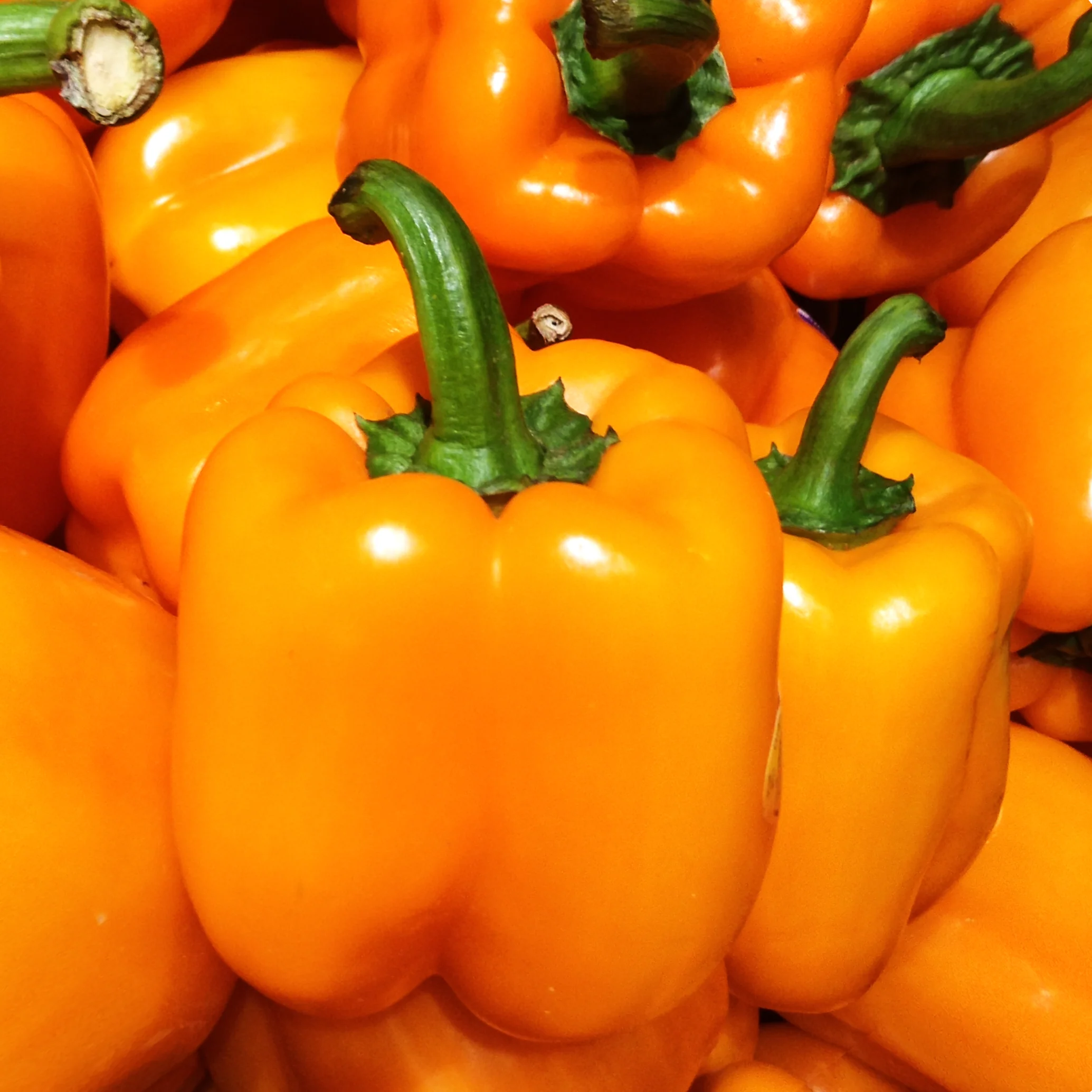 Orange Sun Sweet Bell Pepper - Image 7