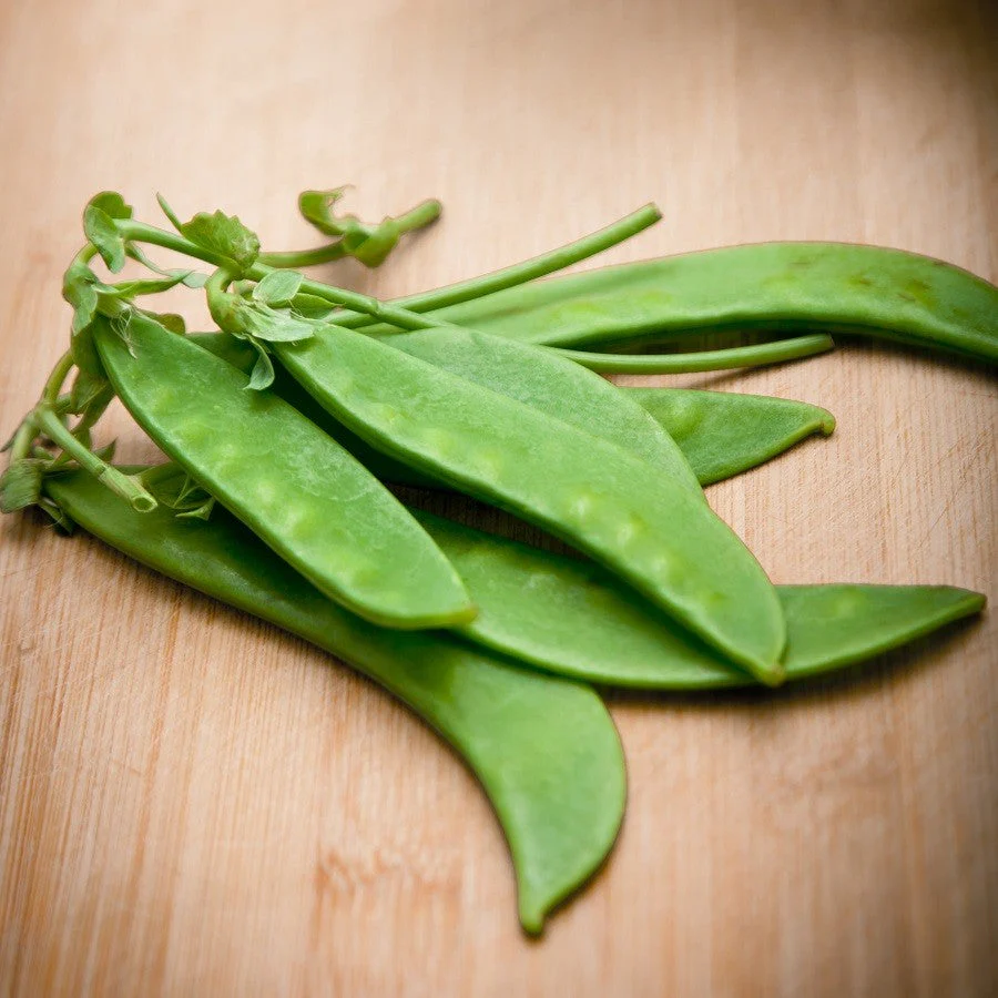 Oregon Sugar Pod II Snow Pea - Image 4