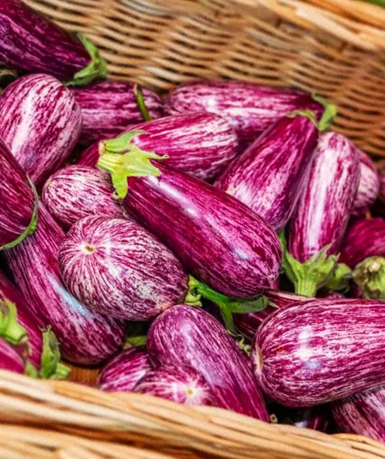 Pandora Striped Rose Eggplant - Image 5