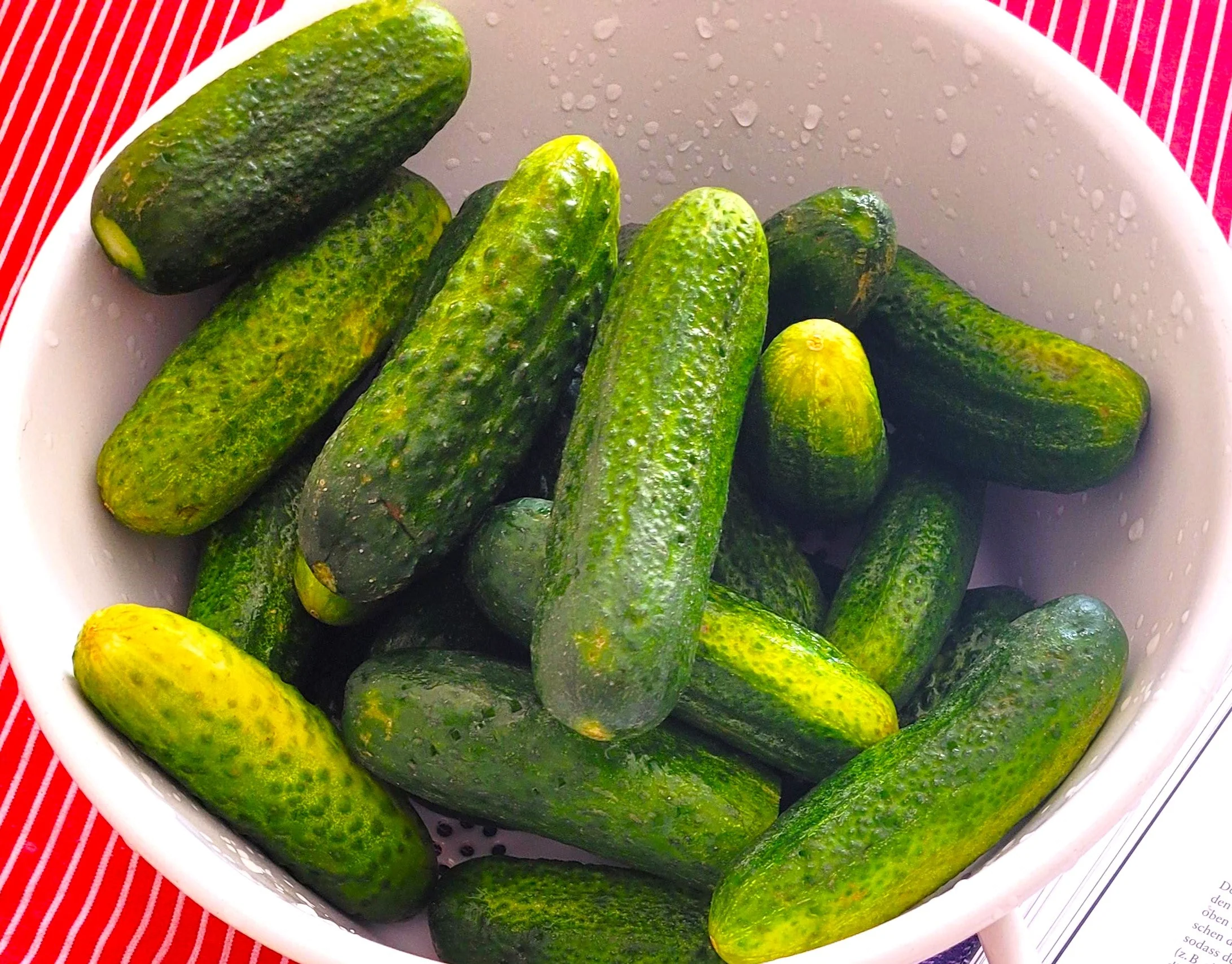 Parisian Gherkin Cucumber - Image 5