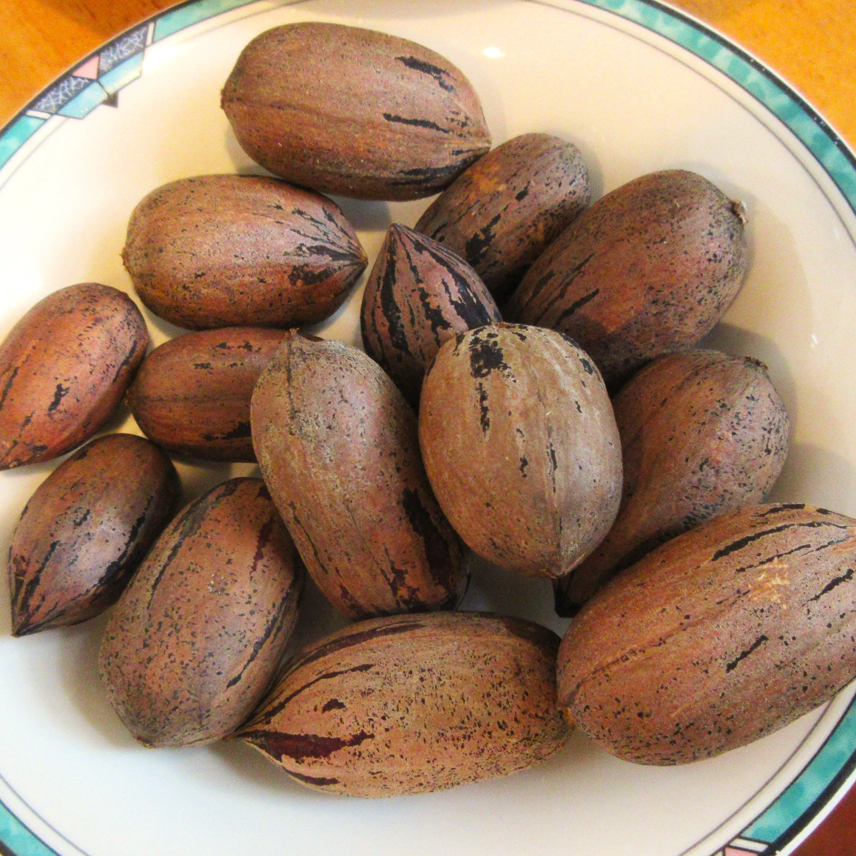 Pecan Tree - Image 9