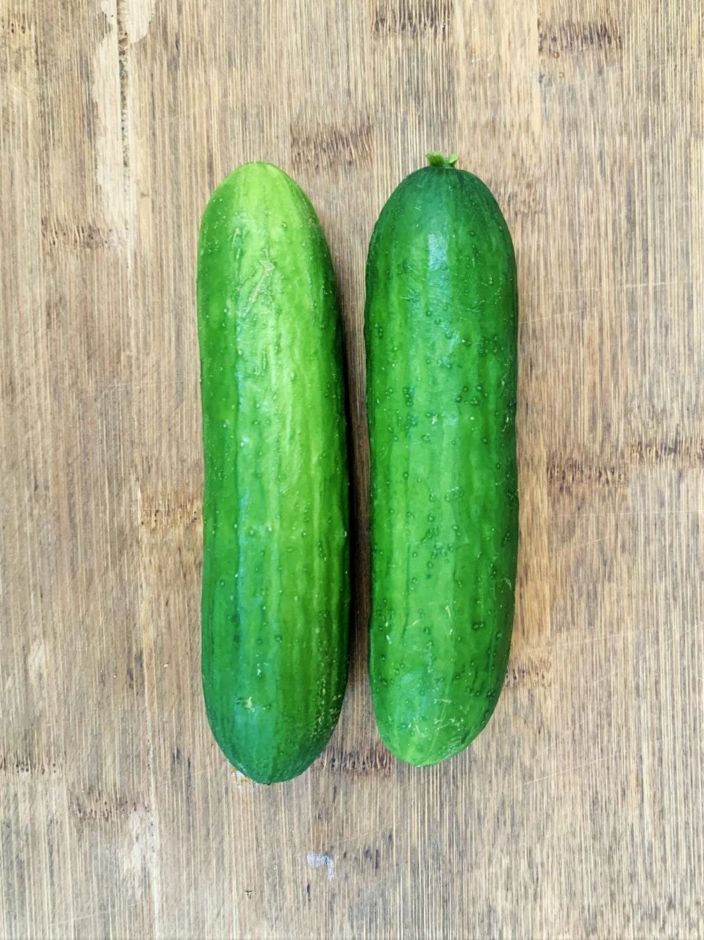 Persian Cucumber (F1) - Image 6