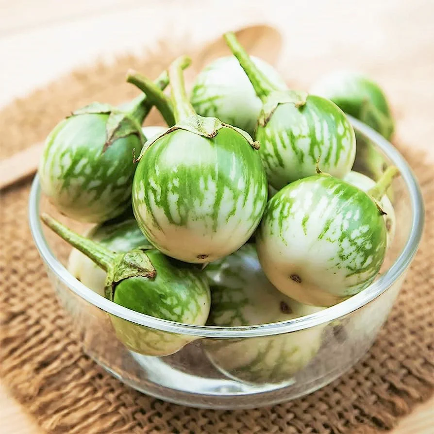 Petch Siam Thai Eggplant - Image 5