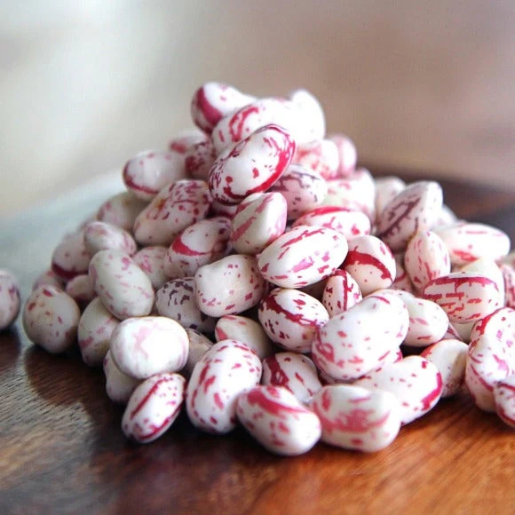 Pink Cranberry Bean (Taylor) - Image 5