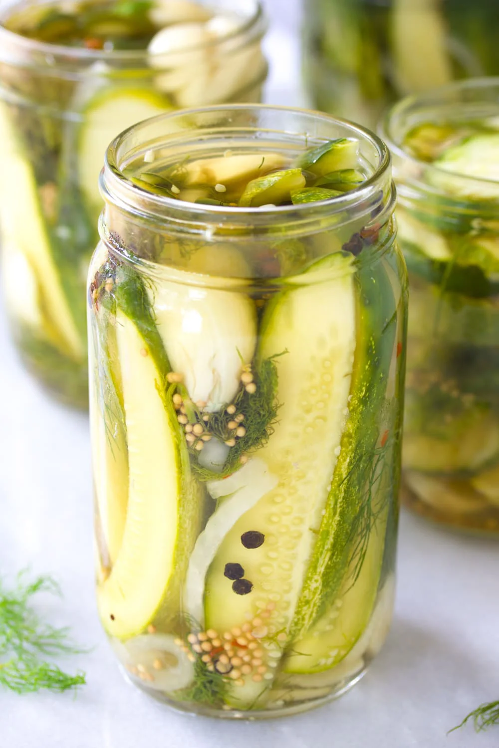 Poinsett 76 Cucumber - Image 4