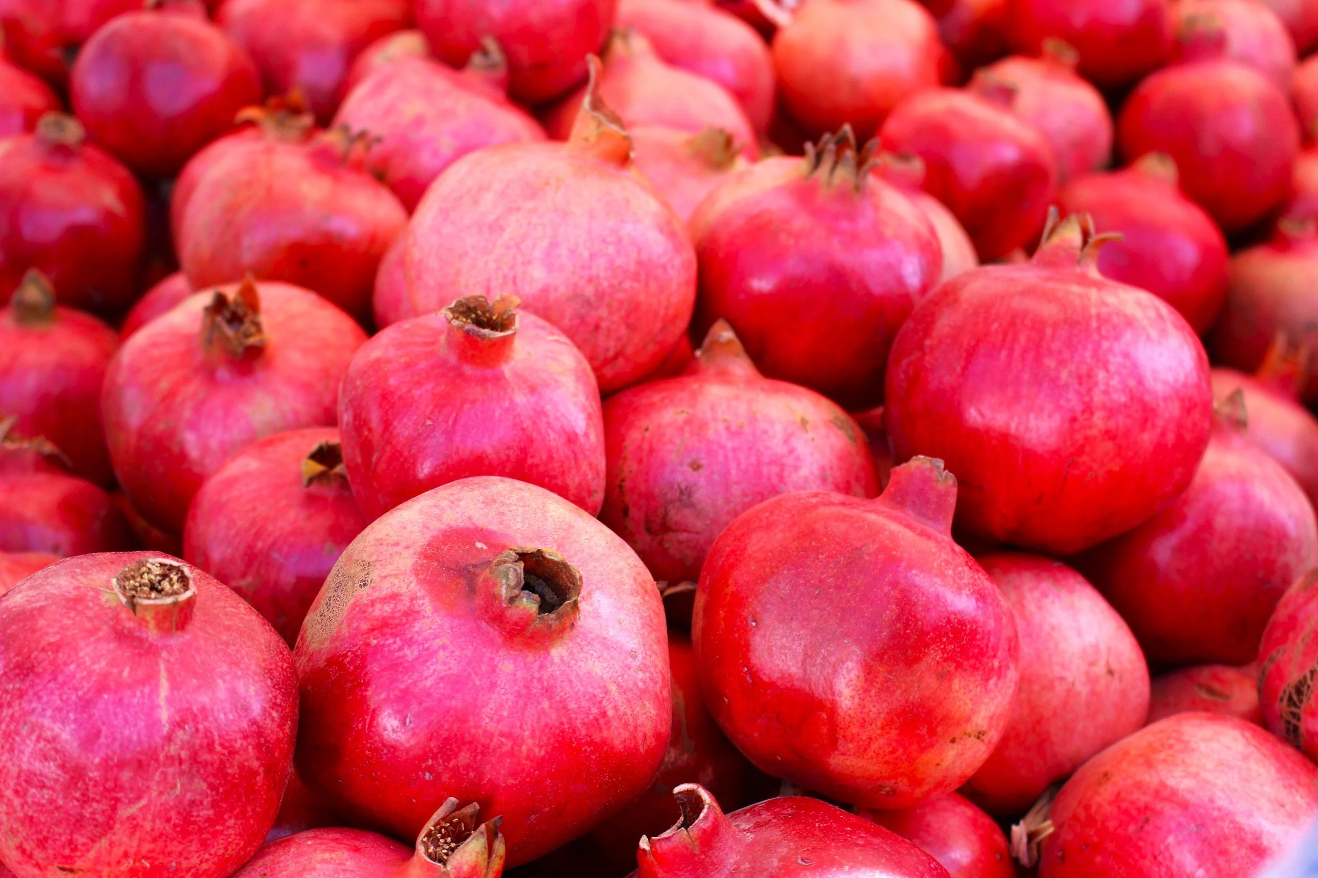 Pomegranate Tree - Image 9