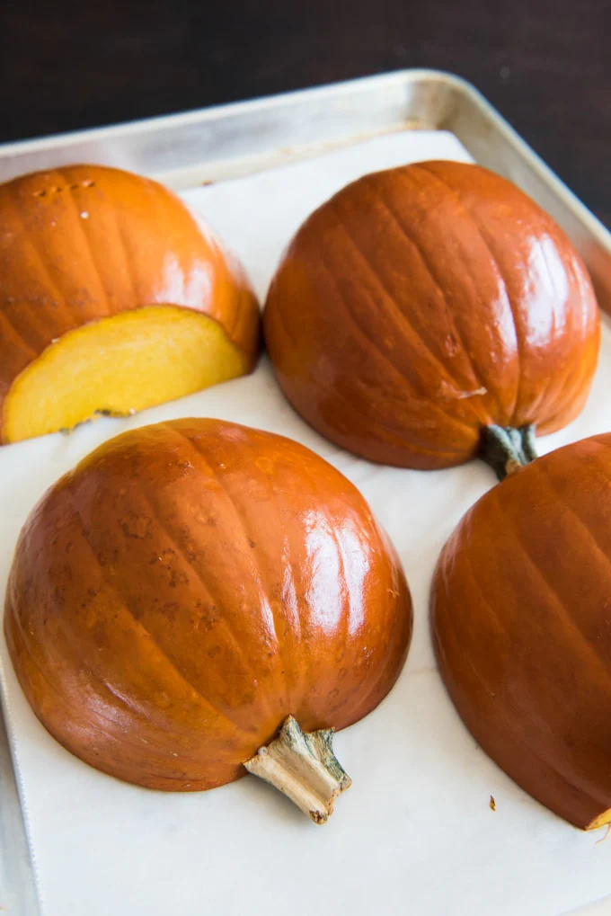 Pumpkin Pie Sugar Pumpkin - Image 3