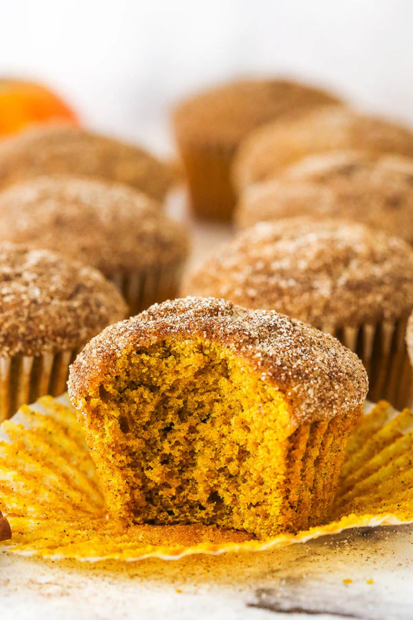 Pumpkin Pie Sugar Pumpkin - Image 4