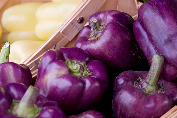 Purple Beauty Bell Pepper - Image 5