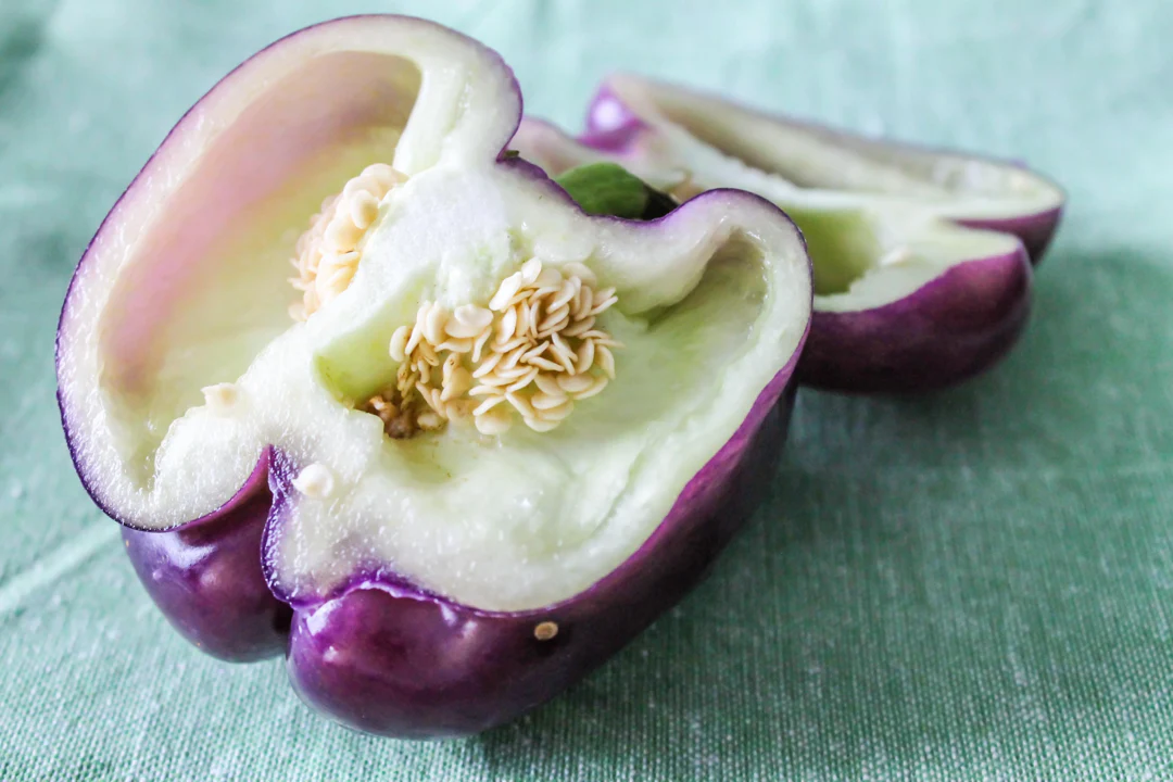 Purple Beauty Bell Pepper - Image 7