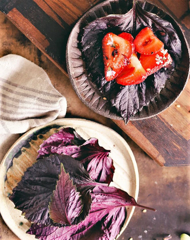 Purple Perilla (Shiso) - Image 6