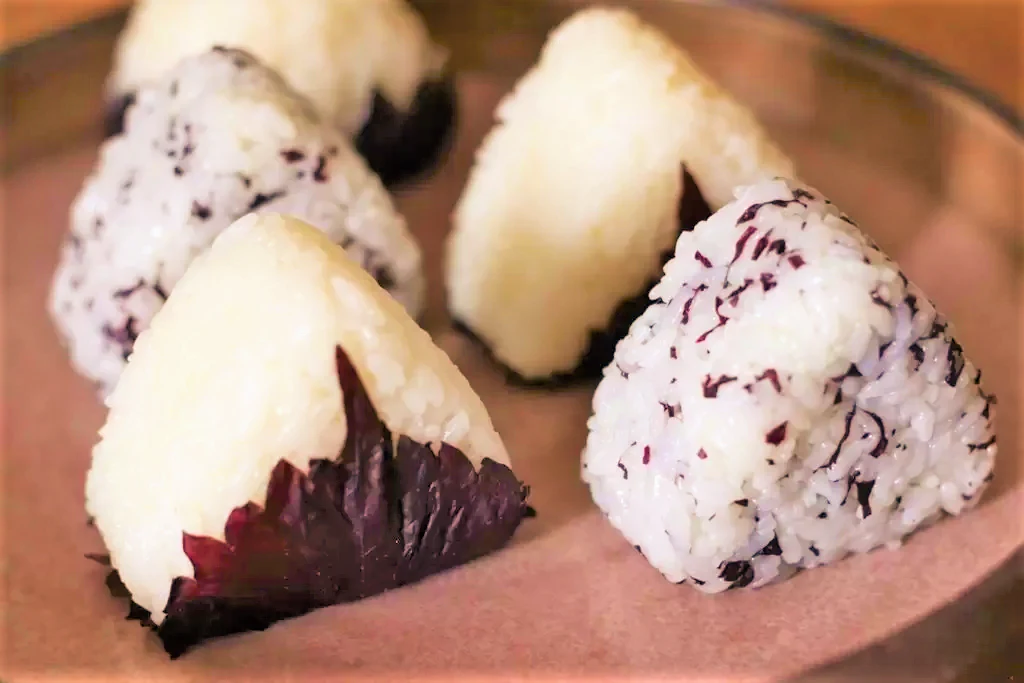 Purple Perilla (Shiso) - Image 9