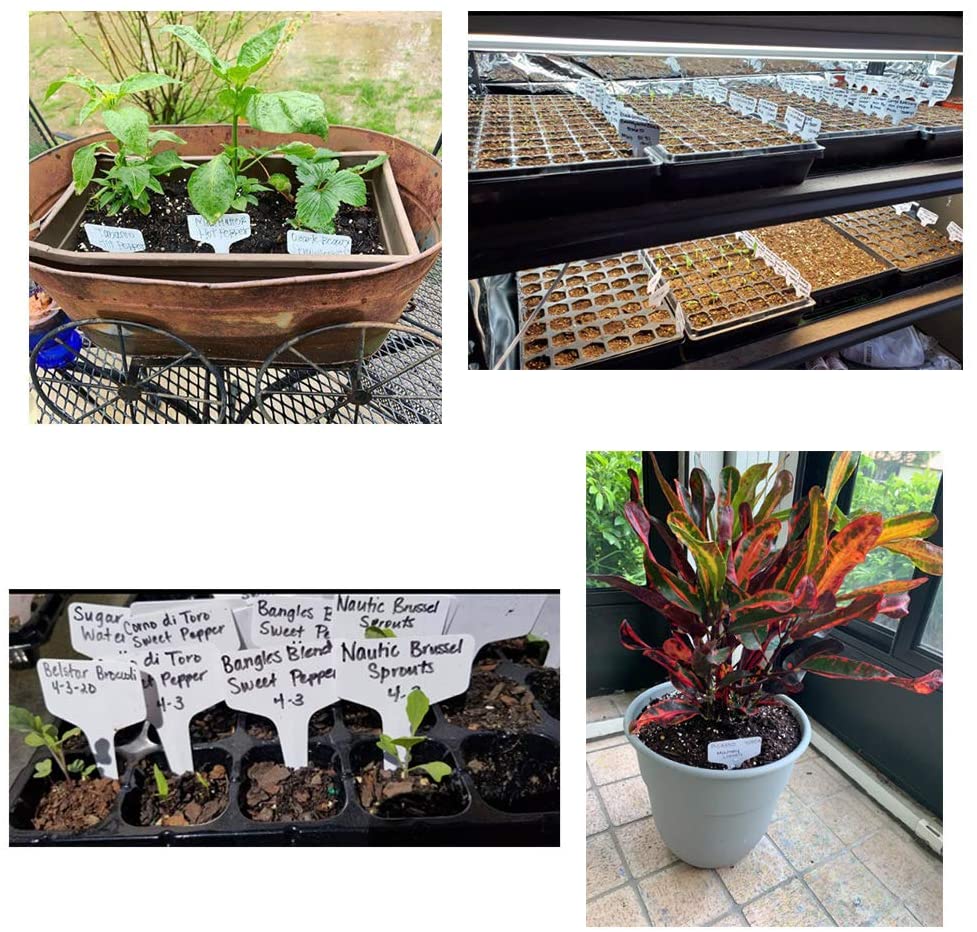 Purple T-Shaped Plant Labels - Image 5