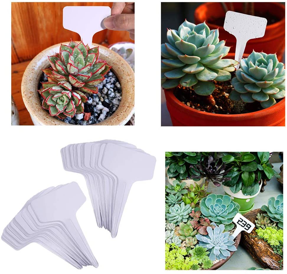 Purple T-Shaped Plant Labels - Image 7