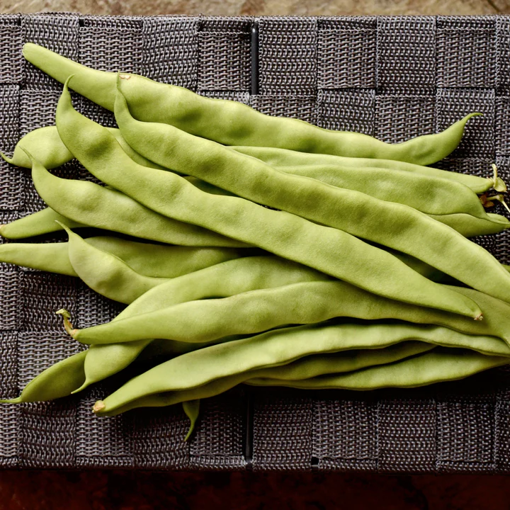 Qing Bian Romano Bean (Pole) - Image 4