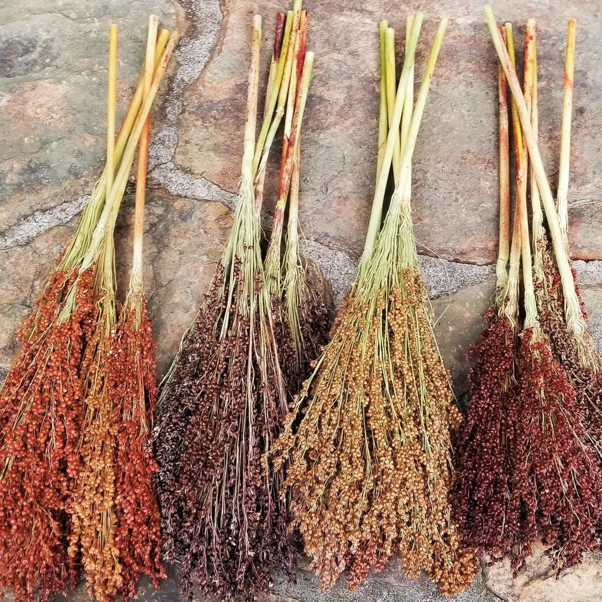 Rainbow Colors Broom Corn - Image 4