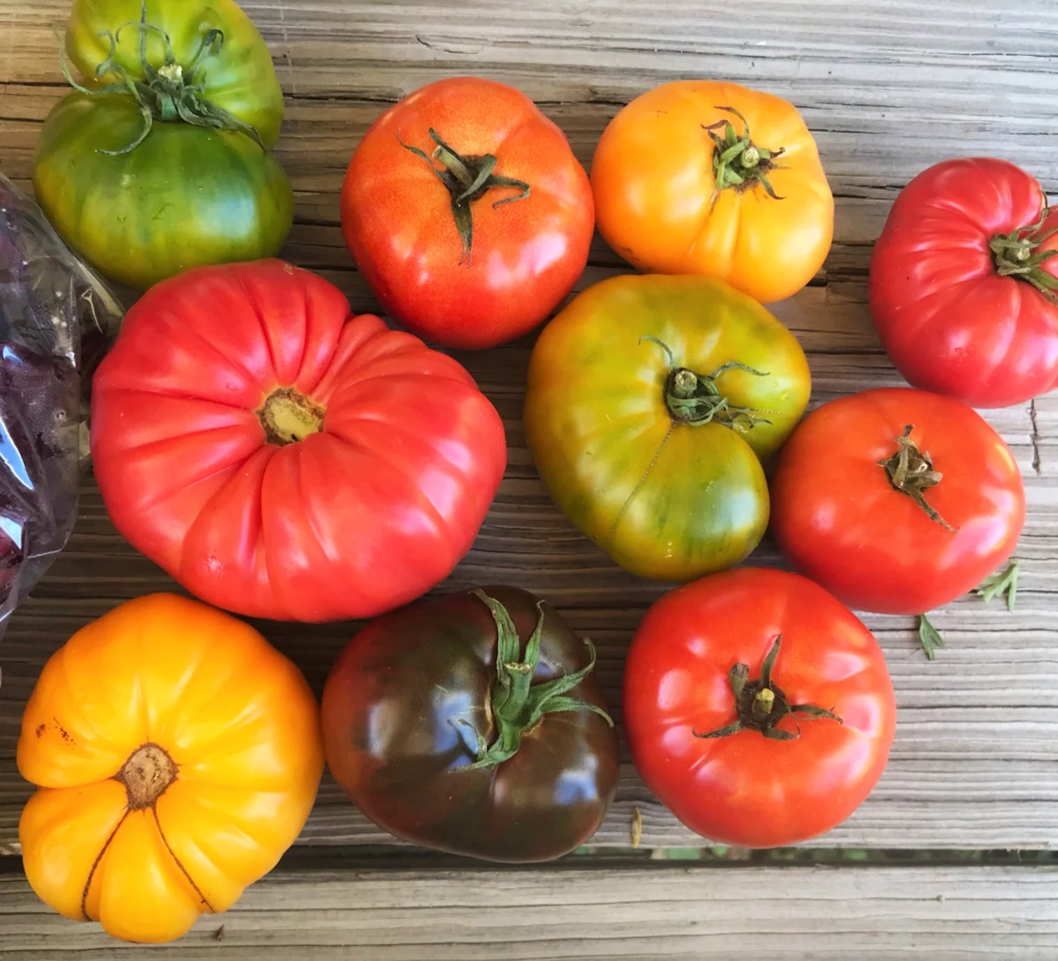 Rainbow Mix Beefsteak Tomato - Image 5