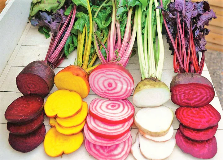Rainbow Mix Beet - Image 3