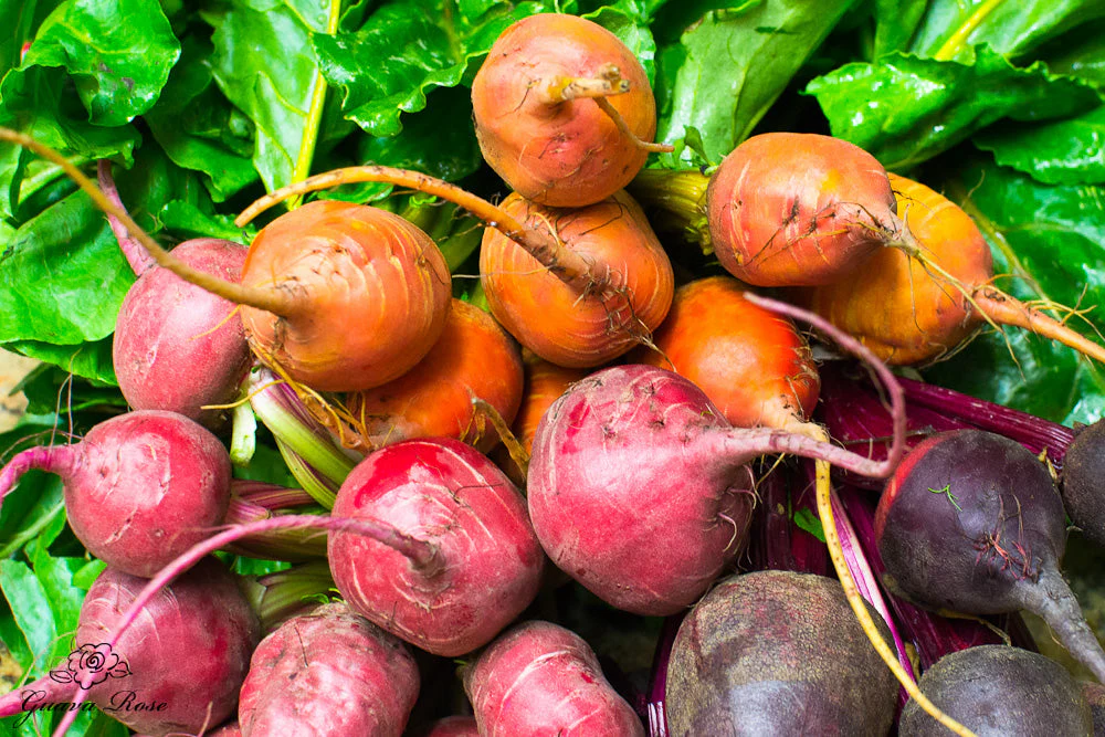 Rainbow Mix Beet - Image 5