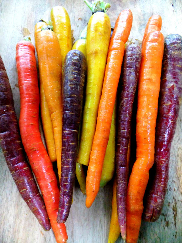 Rainbow Mix Carrot - Image 3