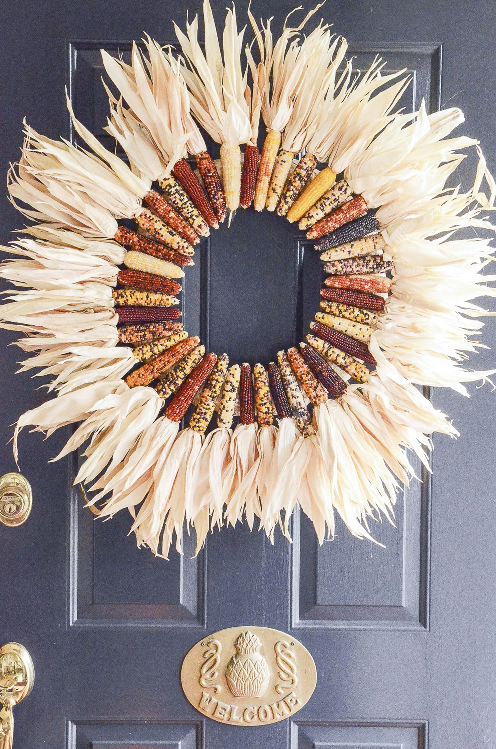 Rainbow Ornamental Corn - Image 6