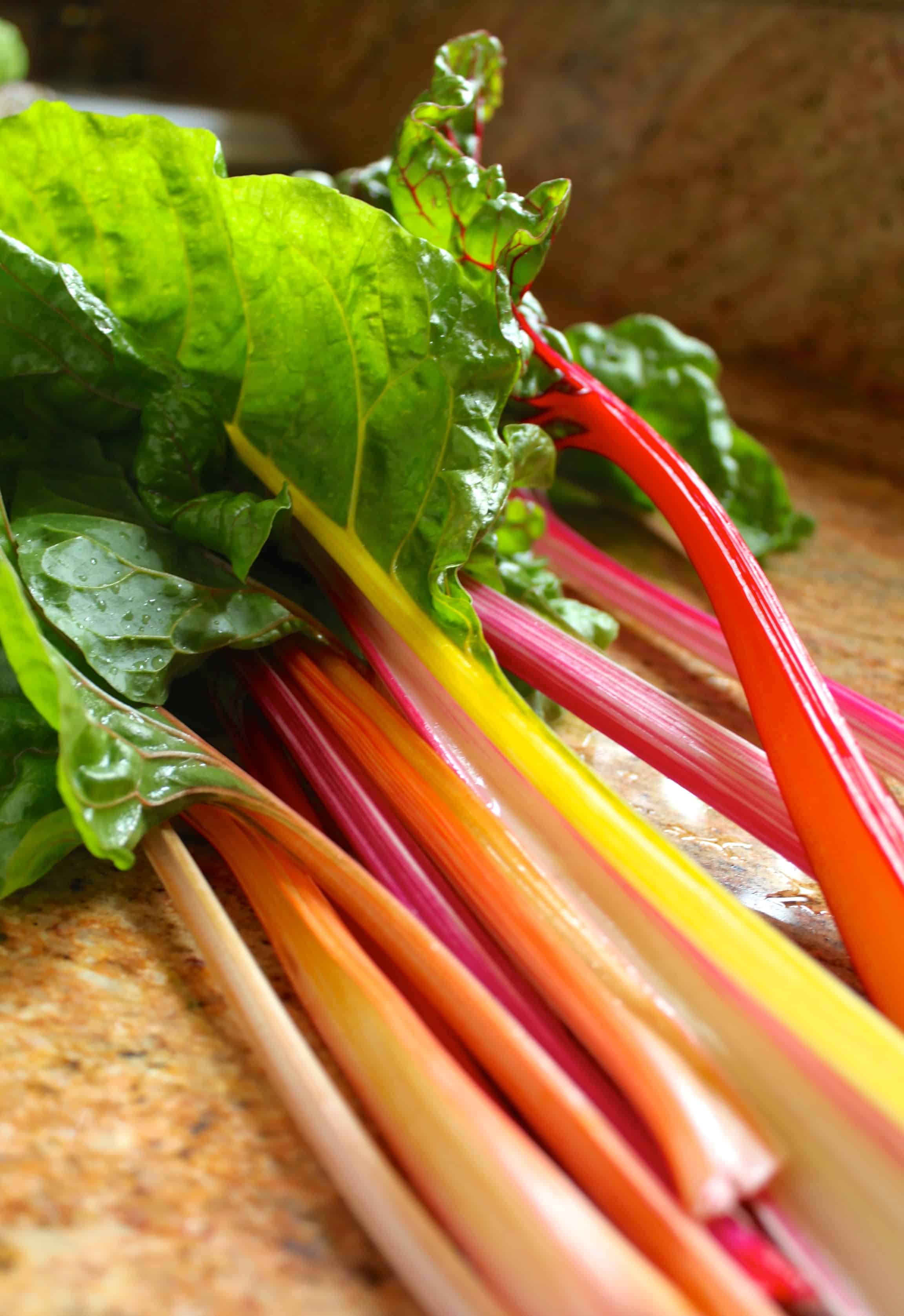 Rainbow Swiss Chard - Image 7